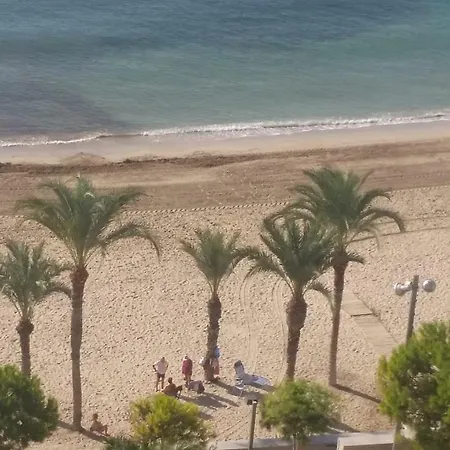 Bellavista Alicante